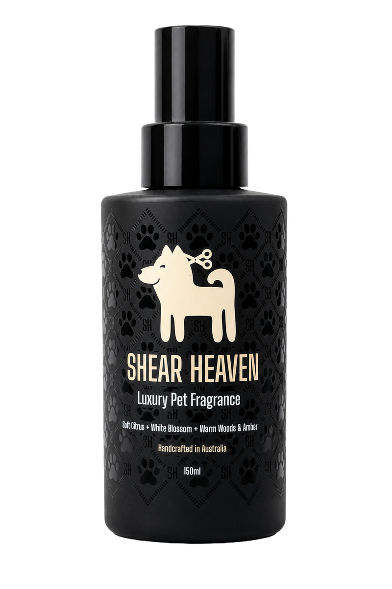 Signature Scent